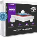 Queen Size Mattress Encasement Deep Pocket, Dustmite Protector, Cover 15-18 Inch, 3M Scotchgard