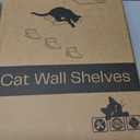 Space-Saving Cat Wall Shelves Interactive Cat Wall Climber with Hammock & Dog Proof Feeding Station for Small & Medium Indoor Breeds Solid Walnut Wood with Beige Carpet