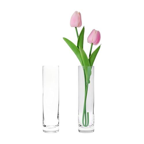 Clear Glass Cylinder Bud Vases,Small Clear Skinny Single Flower Vase for Centerpieces - Minimalist Bulk Vases for Wedding Birthday Bridal Shower Party Events Table Decor (2)