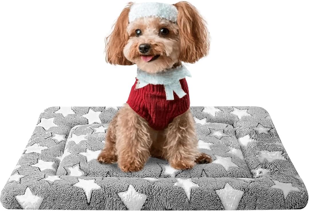 Dog Bed Mat, Reversible Crate Pad & Cute Dog Bed - Machine Washable Kennel Mat with Ultra Soft for Small Dogs (Cool/Warm), 24" x 18", Grey&Star