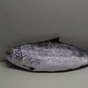 31.5 Inch Simulation Fish Plush Toy Pillow Soft Fish Cushion Pillow Stuffed Animal Toy for Cat Pets or Kids Birthday Gifts