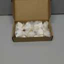 8Pcs Mini White Swan Figurines 2inch Miniature Swan Cake Toppers Resin Swans Fairy Garden Accessories for DIY Moss Landscape Birthday Party Wedding Home Decoration