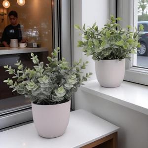 Artificial Plants Decoration Norfolk Potted Faux Fake Eucalyptus mini Cute sage Greenery Indoor Outdoor House Home Living Room Bathroom Coffee Table Desk Office Spring Decor 2 pots