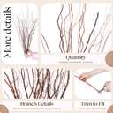 Thiccywoov 12 Pcs Real Dried Willow Branches 47.2 Inches Natural Curly Willow Twig for Decorative Large Floor Vases Craft DIY Floral Arrangements Centerpiece Rustic Wedding Garden Home Decor