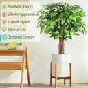3ft Ficus Artificial Trees with Natural Curved Trunks, 36" Tall Lush Faux Tree for Home Decor Indoor, Green Lifelike Fake Ficus Tree Artificial Plants(Set of 2)