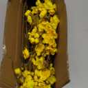 6 PCS Artificial Cherry Blossom Branches Spring Indoor Decoration, Faux Flowers 34.45" Long Stems Plum Fake Peach Plants Real Touch Silk for Wedding Home Bedroom Party Table Office, Yellow