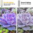 E26 LED Bulbs, 40W LED Light Bulbs Equivalent 400W, 3000K Sunset Color Warm Light, Not Dimmable, AC 110-220V, E26 Light Bulbs (2 Pack)