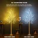 Lighted Birch Tree, 6ft 96LED Birch Tree Lights,Artificial Twig Tree Light 9Modes Timer for Indoor Outdoor Christmas Halloween Easter Tree Home Party Wedding Decor,Warm & Cool White