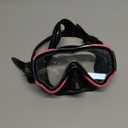 EverSport Swim Goggles Adult with Nose Cover, Anti-fog Clear Diving Mask Wide View No Blurring for Men Women Youth
