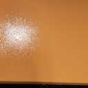 Frigidaire EFR115 Mini Refrigerator - Energy Saving - CFC Free - Slide Out Shelves - Ideal for for Dorm, Office, RV, Garage, Apartment - 1.6 Cubic Feet, Orange