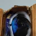 NORSE'S TRADECRAFT Teardrop Urn for Ashes Adult Male & Female | Memorial Gifts with Velvet Bag l Cremation Urns with Blue Single Sided Galaxy Design | Handcrafted Memorial Box for Funeral - 60 cu in