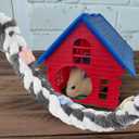 YARNOW Climbing Rope Toy for Squirrel, Sugar Gliders, Rats and Ferrets - Multi-Functional Hanging Perch for Bird Cage, Encourages Activity and Enrichment