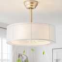 20" Caged Fandelier Ceiling Fans with Lights, Boho Ceiling Fan with Light Remote Control, Chandelier Coastal with 6 Speeds for Bedroom, Nursery, Living Room (Gold)