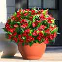 Waipfaru 5 Pcs Artificial Flowers for Outdoors, UV Resistant Faux Flowers for Outdoor Planters, Silk Impatiens Bouquet Red Spring Artificial Plants for Garden Porch Patio Balcony Yard Decoration
