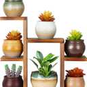 Small Desk Plant Stand 7 Tiers Window Sill Plant Shelf Tabletop Succulent Stand Wood Desktop Flower Pot Stand Holder Plant Rack for Windowsill Desktop Window Ledge Countertop Narrow Space