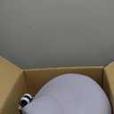 Kaleurrier Saddle Stool Rolling Swivel Height Adjustable with Wheels,Heavy Duty Saddle Chair, Ergonomic Stool Chair for Hair Salon Lab Clinic Dental Massage Home Office Kitchen (Purple, Without Back)