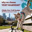 rabbitgoo Cat Harness and Leash for Walking, Escape Proof Soft Adjustable Vest Harnesses for Cats, Easy Control Breathable Reflective Strips Jacket, Red & Teal, S