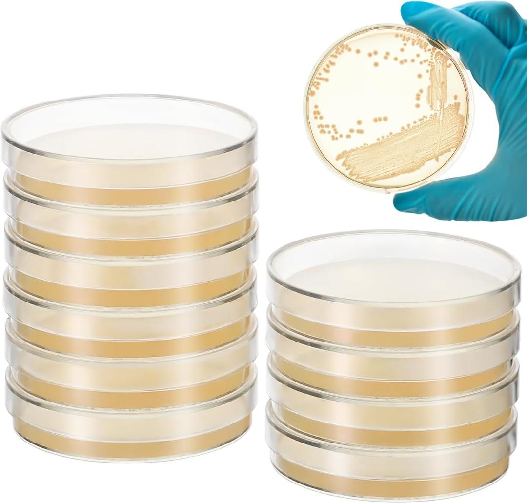 Baluue 10Pcs Nutrient Agar Petri Dishes Science Project Kit, 70mm Pre-Poured Agar Plates, Laboratory Experiment Prepoured Supplies for Students (7CX7cm)