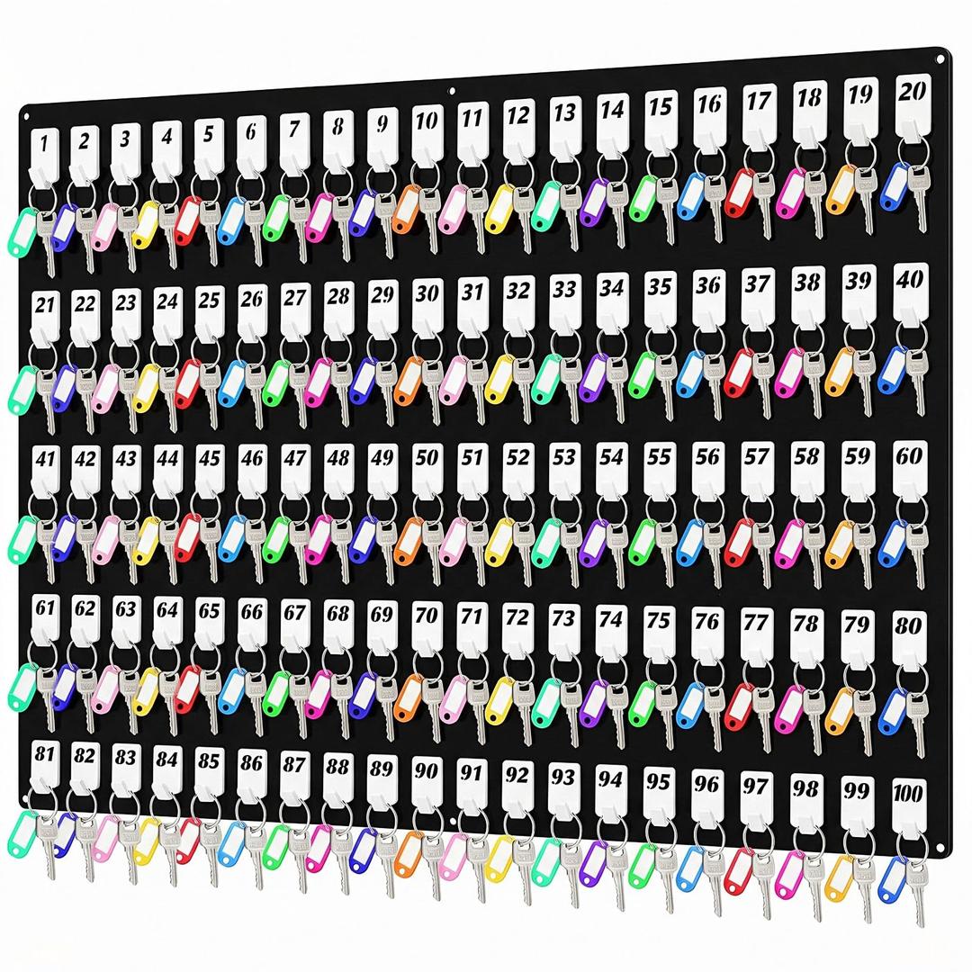 Beeveer Acrylic Key Holder Board with 100 Hooks, Wall Mount Organizer,Black