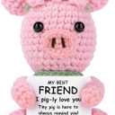 2 x JoycuFF Best Friend Birthday Gifts for Women, Bestie Friendship Gifts for Women Valentines Mothers Day Christmas Birthday Present Positive Emotional Support Handmade Crochet Pink Pig