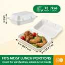 Turbo Bee 75 Pack White Compostable Take Out Containers, 9x6 Disposable Food Containers with Lids, Heavy Duty Clamshell To Go Boxes for Restaurant, Catering, Meal Prep & Lunch