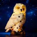 Solar Garden Statue - Outdoor Decor, Yard Decorations for Balcony, Backyard, Lawn Ornament - Unique Birthday & House Warming Gift for Women, Mom, Grandma - Cloud White Owl Figurine