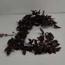 Afloral Plum Cimicifuga Seeded Garland - 6'