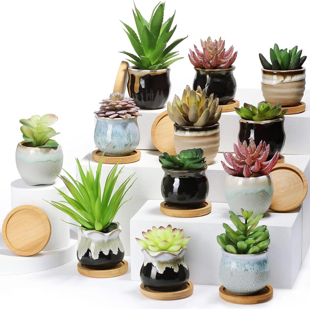 Remerry 12 Pcs Small Succulent Pots Bulk with Drainage Assorted 2.5 Inch Mini Ceramic Succulent Planters Pot with Coaster Bamboo Plant Tray Planting Pots for Home Office Garden (Rich Color), 2.5 x 2.15 inches