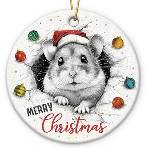 3 x Hamster Ornaments for Christmas Tree Decorations 2025, Unique Animal Lover Gifts for Women Men, Ceramic Ornaments Gift for Hamster Lovers, Xmas Gifts for Christmas Hanging Decorations