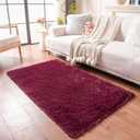 duduta Burgundy Plush Rugs for Bedroom 3x5 ft, Fluffy Shag Rug for Dorm Nursery Bedside, Machine Washable Non Slip