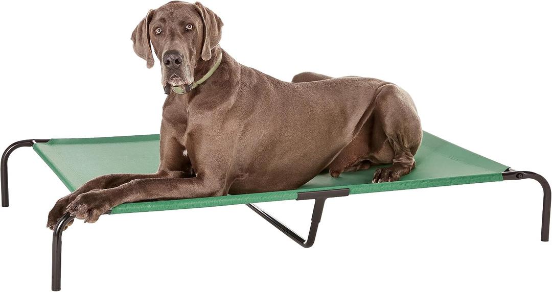 Amazon Basics Cooling Breathable Elevated Dog Bed with Durable Metal Frame for XLarge Dogs, X-Large, 60 x 37 x 9 Inch, Green, Easy to Clean