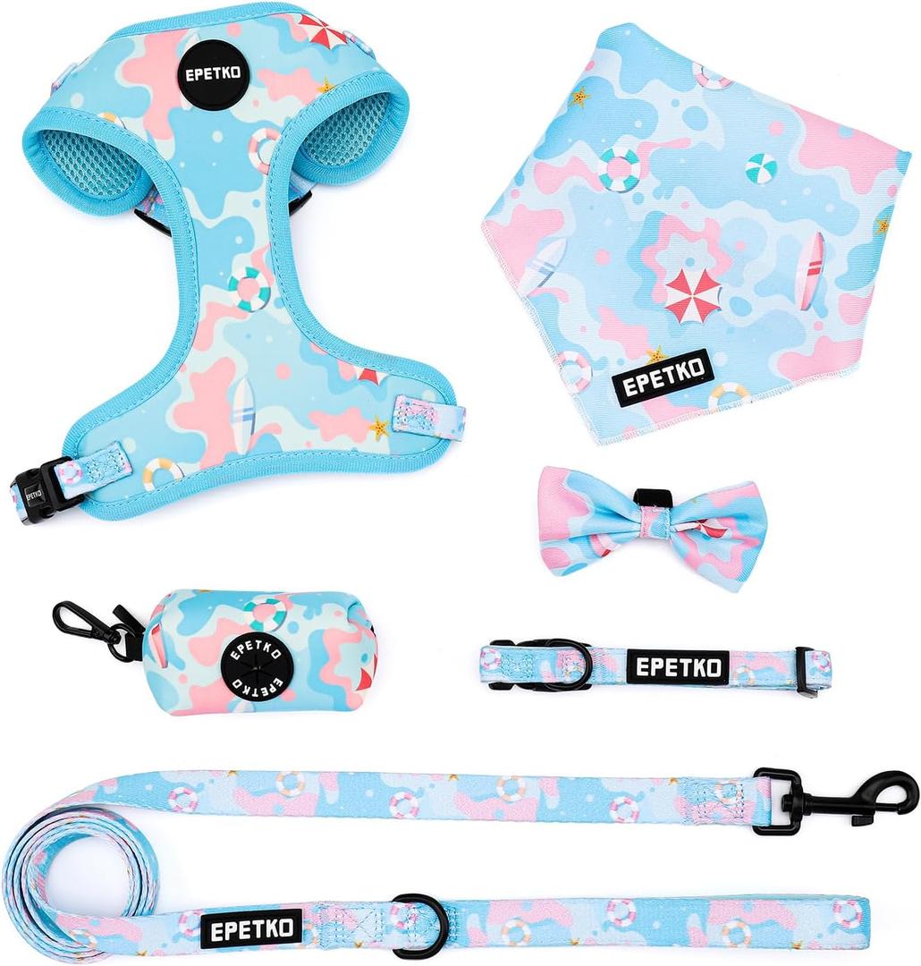 Small Dog Harness and Leash Set of 6, No Pull Soft Lightweight Mesh Puppy Harness Adjustable Cute Floral Pattern Pet Harness for Dogs (Blue Sea, L)