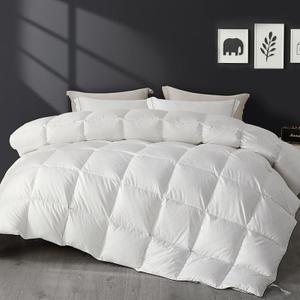 SAPHREAS Down Feathers Comforter Queen Size, All Season Duvet Insert queen, Luxury Lightweight Bedding Comforters with 8 Corner Loops, White 90x90"