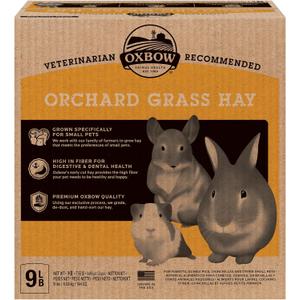 Oxbow Animal Health Orchard Grass, Guinea Pig Hay, Rabbit Hay, Small Pet Bunny Supplies, All Natural Grass for Guinea Pig, Bunny, Chinchilla & Hamster, Oxbow Rabbit Supplies for Bunnies, 9 lb. box (EXP 07/21/28)