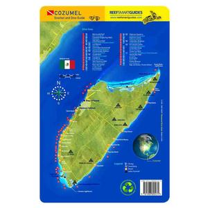 Cozumel Island Reef Smart Waterproof Dive Card