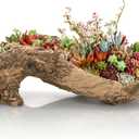 Artificial Driftwood Planter, 16''L x 5.5''W x 5''H Sculpture Resin Succulent Flower Pot, Creative Imitation Wood Stump Log Bonsai Plant Pot, Cactus Container with Drainage Hole for Garden