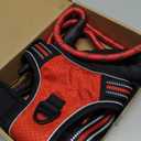 No Pull Dog Harness Adjustable Reflective Oxford Easy Control Medium Large Dog Harness with A Free Heavy Duty 5ft Dog Leash, Size L