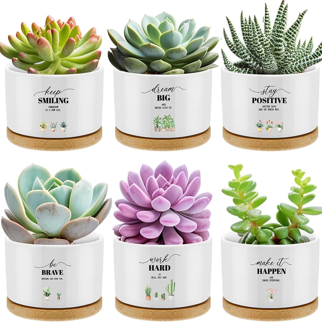 Reallnaive 6 Pcs Inspirational Succulent Pots with Bamboo Tray, Mini Ceramic Planters Appreciation Gifts for Employees Teachers Nurses Coworker Staff Team Thank You Graduation (Plants Not Included)
