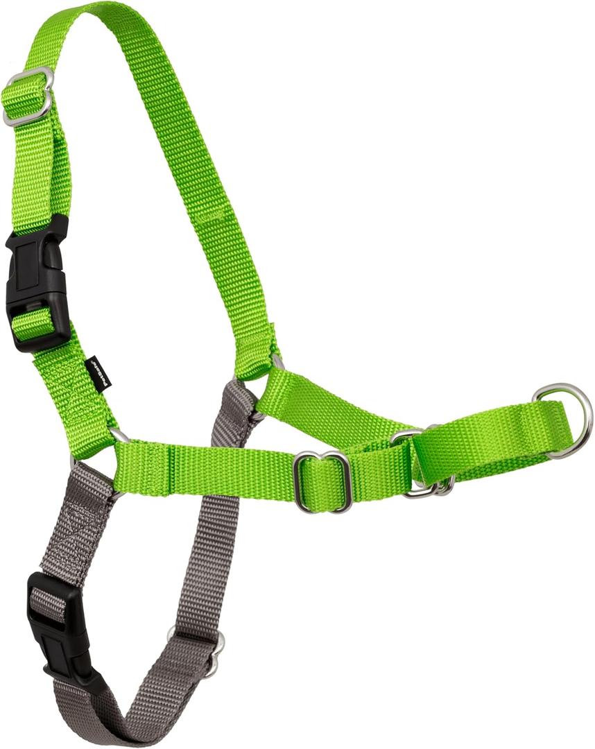 PetSafe Easy Walk No-Pull Dog Harness - The Ultimate Harness to Help Stop Pulling - Take Control & Teach Better Leash Manners - Helps Prevent Pets Pulling on Walks, Small/Medium, Apple Green/Gray