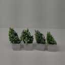 Der Rose 4 Pack Fake Plants Mini Artificial Greenery Potted Plants for Home Decor Indoor Office Table Room Farmhouse Bathroom Decor (Grey)
