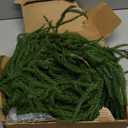 MISSPIN Christmas Garland with Lights, Real Touch Winter Pine Garland, Green Artificial Greenery Garland for Table, Mantle, Wall, Indoor, Outdoor Christmas Decorations (9FT)