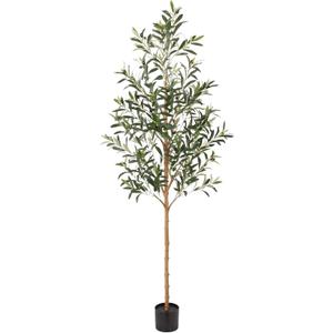 FLOWORLD 6FT Olive Trees Artificial Indoor, Tall Faux Olive Tree 6FT (72in) with Natural Wood Trunk & Realistic Olives, Stable Base, Pet Friendly Artificial Plant for Home Office, Living Room, Outdoor