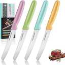 HAUSHOF Steak Knives Set of 4, Serrated Steak Knives, Premium Stainless Steel Steak Knife Set with Gift Box, Assorted Color