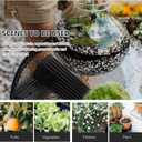 DOITOOL 50Pcs Plastic Deep Plant Nursery Pots, 11.2" Tall Tree Pot Black Seedling Treepots Flower Plant Container with Drainage Holes for Indoor Outdoor Gardening (11.2" H X 3" W)