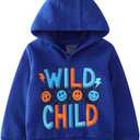 2-Pack Boys Sweatshirts ToddlerCotton Long Sleeve Crewneck Pullover Kids Winter Warm Shirt Sweater Tops 2T-7 Years