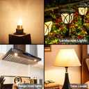 G4 Bulb, 20 Pack Halogen G4 12V 20W with G4 Bi-pin Base, High Output G4 Light Bulb 12V 300LM 3000Hrs Long Lifetime, G4 Dimmable, CRI100 & 2800K Warm White, G4 Halogen Bulb 20W for Cabinet Light Bulbs
