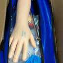 The Apprentice Doctor Phlebotomy Practice Kit  Complete Phlebotomy Training Arm for Venipuncture & IV Simulation | Designed for Medical & Nursing Students (Arm with Kit)