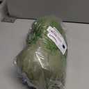 Twin Fitted Bed Sheet - Bottom Single Fitted Sheet Only - Soft Hotel Luxury Bedding w/ 8-16 Inch Deep Pockets - Breathable, Cooling & Wrinkle Free - Easy-Care, Fade and Shrink Resistant - Sage Green