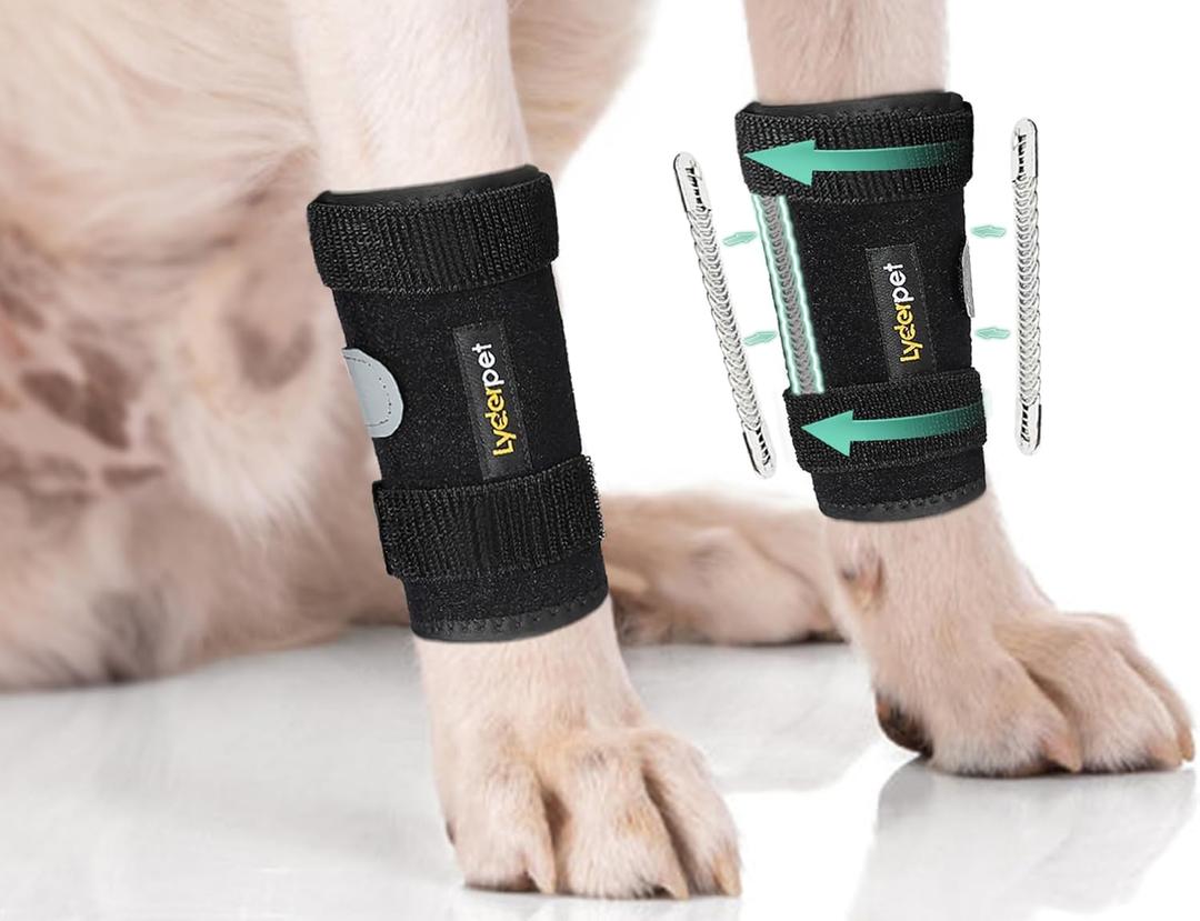 Dog Front Leg Brace Ankle Support for Forelilmb, Canine Dog Wrist Brace Splint, Protects Foreleg Carpus Joint Wounds Heals, Helps with Loss of Stability Caused by Arthritis (XXS/XS)