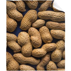 Peanut Blanket Funny Food Throw Blanket for Sofa Chairs Bed, Good Blanket Gift, Lightweight Soft and Cozy 40" x 30" for Pet